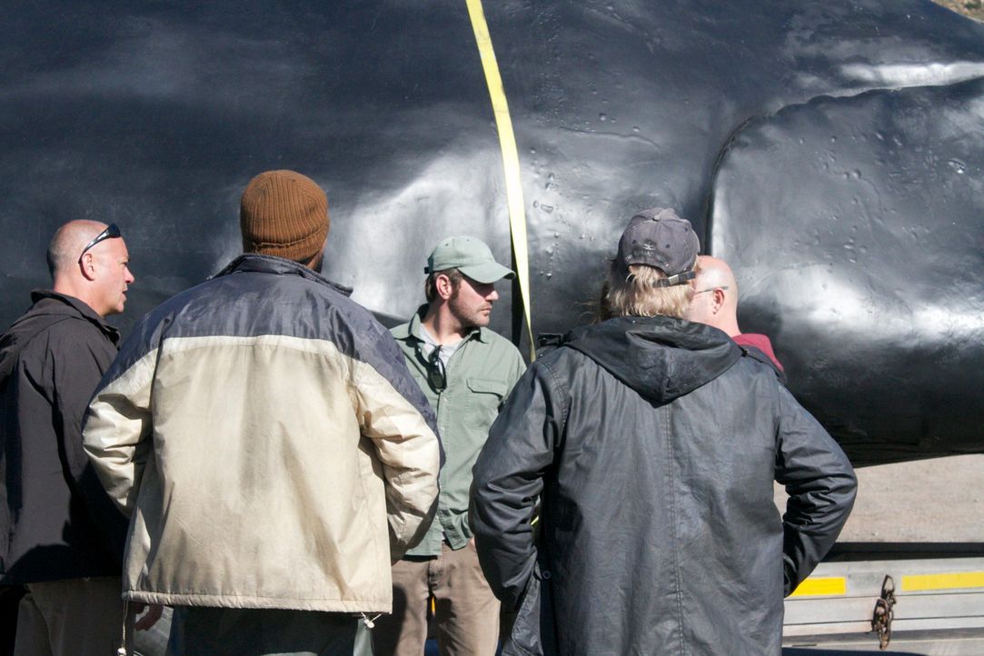 Ein "Fake-Hai" wird vom Forscherteam um den Meeresbiologen Collin Drake (M.) als Lockvogel eingesetzt. Wird es den Forschern gelingen, damit den ech... - Bildquelle: Brian Girard / Kris Olson Discovery Channel