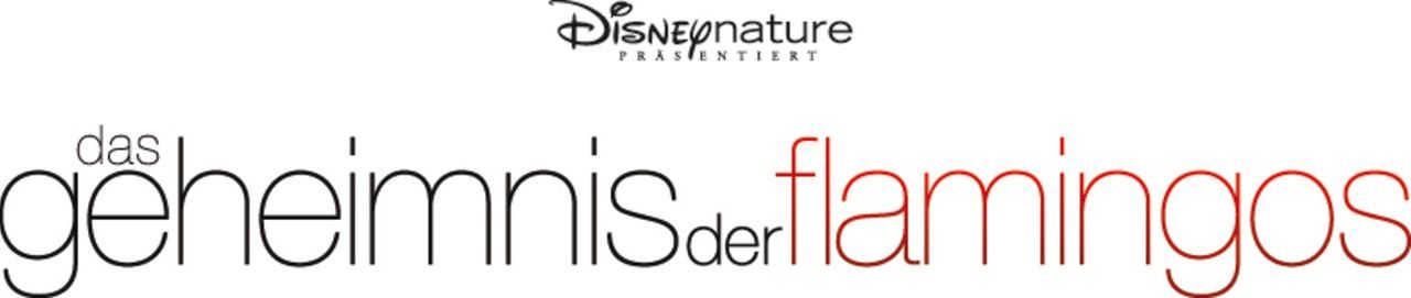 DAS GEHEIMNIS DER FLAMINGOS - Logo - Bildquelle: Disney Enterprises, Inc.  All rights reserved.