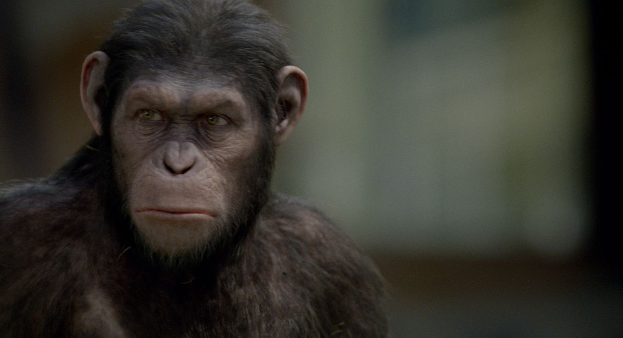 Anführer der Revolution der Affen: der überaus intelligente Caesar ... - Bildquelle: 2011 Twentieth Century Fox Film Corporation. All rights reserved.