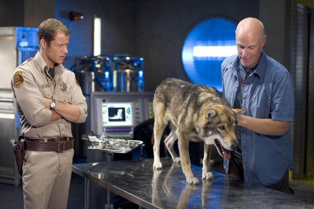 Haben mit einem dubiosen medizinischen Problem zu tun: Carter (Colin Ferguson, l.) und Taggert (Matt Frewer, r.) ... - Bildquelle: Universal Television
