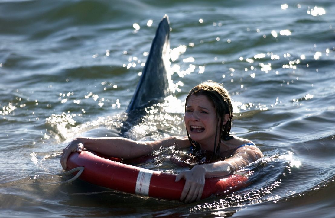 Obwohl ihr Bruder sie eindringlich warnt, geht Danielle (Shannon Lucio) im Meer baden. Da nähert sich auch schon der erste Hai ... - Bildquelle: CBS Television