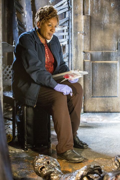Bei den Ermittlungen im Fall des Bombenanschlags macht Wade (CCH Pounder) eine erschreckende Entdeckung ... - Bildquelle: 2014 CBS Broadcasting Inc. All Rights Reserved.