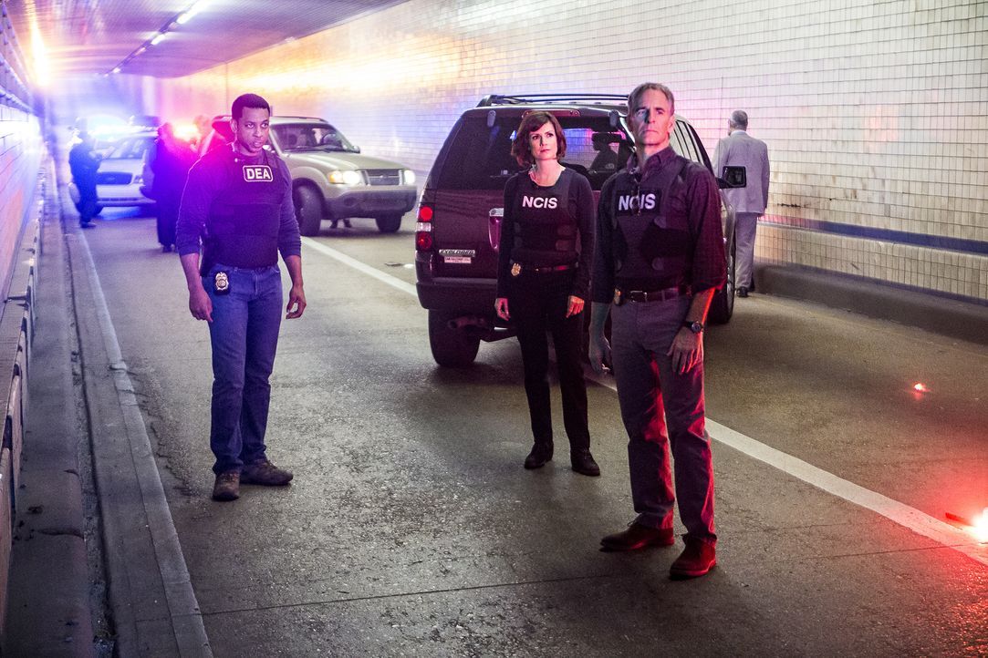 Pride (Scott Bakula, r.), Brody (Zoe McLellan, 2.v.r.) und der Rest des Teams verfolgen die Spur von gestohlenem TNT der Navy zu einem Drogenring, d... - Bildquelle: Skip Bolen 2016 CBS Broadcasting, Inc. All Rights Reserved / Skip Bolen