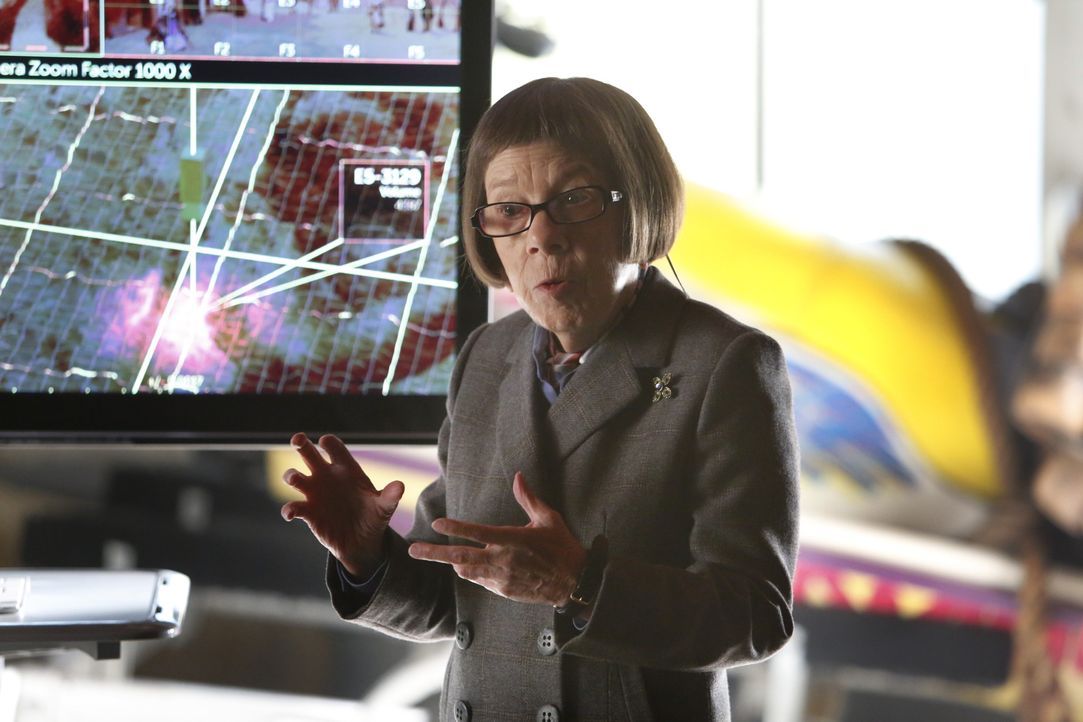 Kann Hetty Lange (Linda Hunt) dem Team helfen einen Kunstbetrug aufzuklären? - Bildquelle: Cliff Lipson 2014 CBS Broadcasting, Inc. All Rights Reserved / Cliff Lipson