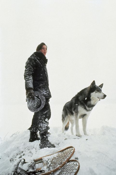 Einsam in der Schneehölle Alaskas: Jack (Ethan Hawke) und sein Wolf Wolfsblut ... - Bildquelle: Walt Disney Pictures
