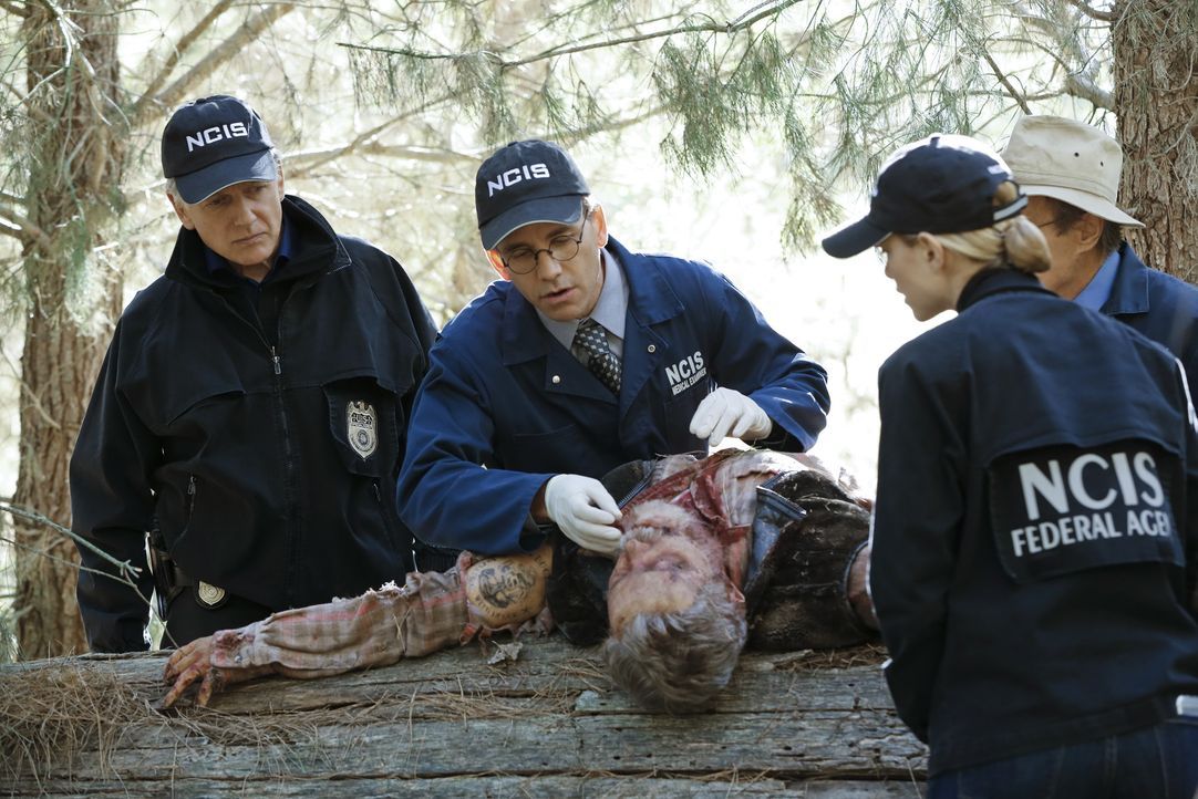Während den Ermittlungen in einem neuen Mordfall, lüften Gibbs (Mark Harmon, l.), Jimmy (Brian Dietzen, 2.v.l.) und Bishop (Emily Wickersham, 2.v.r.... - Bildquelle: Robert Voets CBS Television / Robert Voets