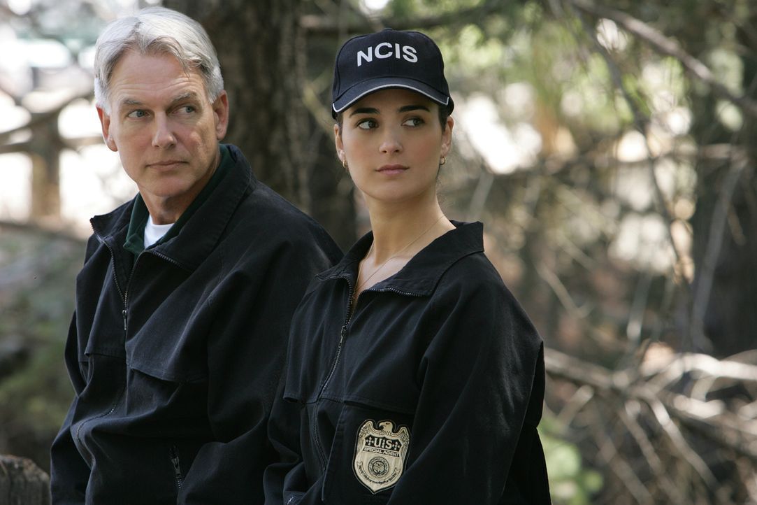Versuchen den Fall des ermordeten Lieutenant Commander Carrie McLellan zu klären: Leroy Gibbs (Mark Harmon, l.) und Ziva David (Cote de Pablo, r.) .... - Bildquelle: CBS Television