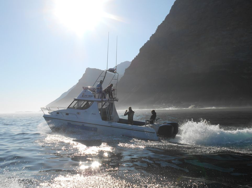 Im April 2013 wurde ein gechartertes Fischerboot mit vier Passagieren vor der südafrikanischen Küste angegriffen und sank. Die Leichen der Passagier... - Bildquelle: Brian Girard / Kris Olson Discovery Channel