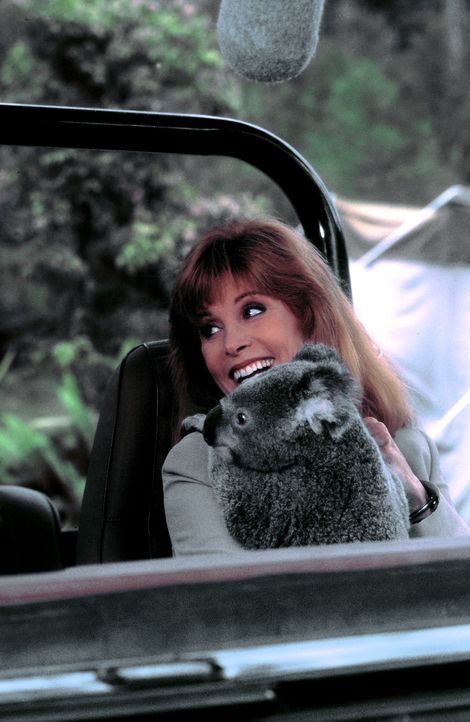 Liebevoll kümmert sich Jennifer (Stefanie Powers) um einen jungen Koalabären, dem sie in ihrem Reservat ein neues Zuhause bieten will ... - Bildquelle: Columbia Pictures