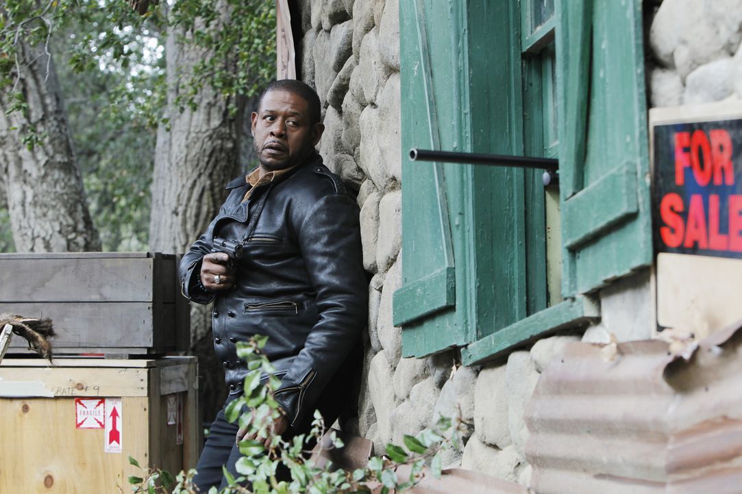 Gibt alles, um einen neuen Fall zu lösen: Sam (Forest Whitaker) ... - Bildquelle: ABC Studios