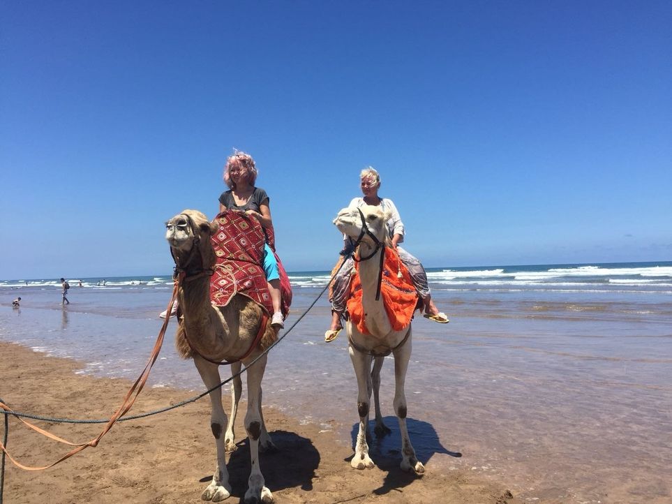 Für die ungleichen Schwestern Gabi und Claudia geht es nach Marokko, wo sie einmal in ihrem Leben auf einem Kamel sitzen wollen. - Bildquelle: kabel eins