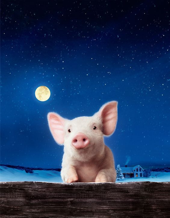 Schweinchen Wilbur und seine Freunde ... - Bildquelle: © CBS International Television (ehem: Paramount Pictures International)