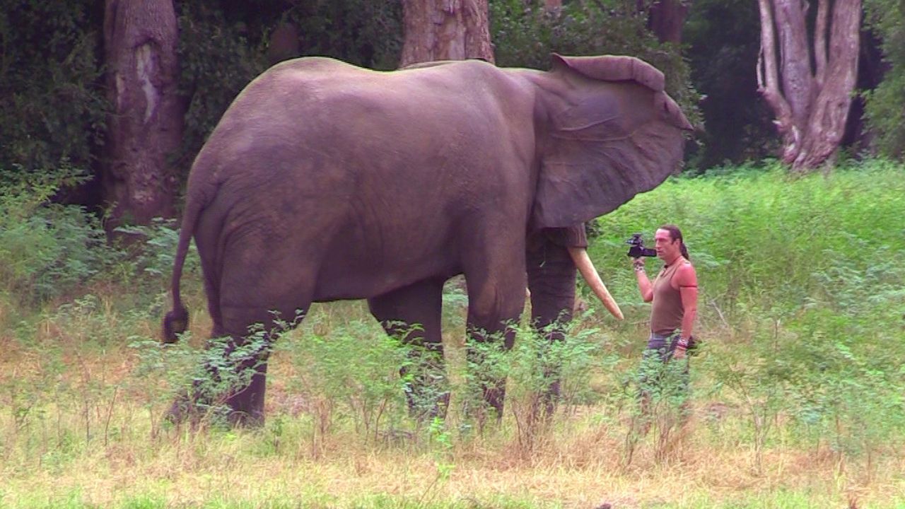 Elefantenbulle-direkt-vor-Richard-Gress - Bildquelle: kabel eins