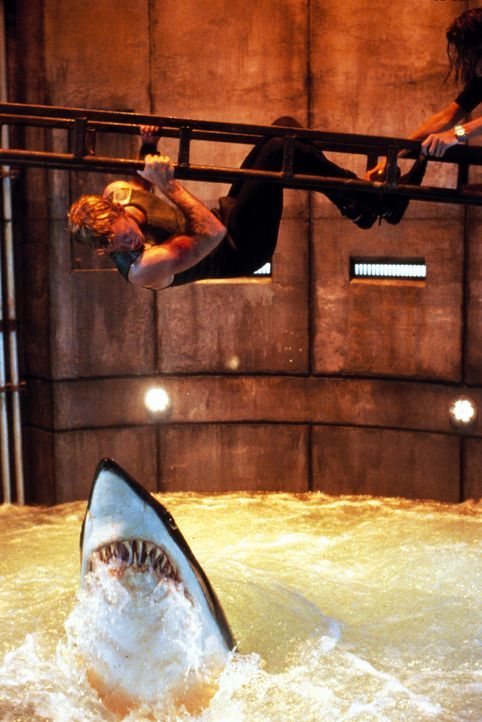 Als ein Sturm über die Forschungsinsel tobt, starten die drei Haie einen Angriff auf ihre Bewacher, denn durch die gentechnische Manipulation sind s... - Bildquelle: Warner Bros. Pictures