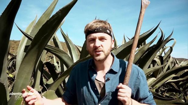 Abenteuer Leben - Abenteuer Leben - Freitag: Johannes On Tour: Mexiko