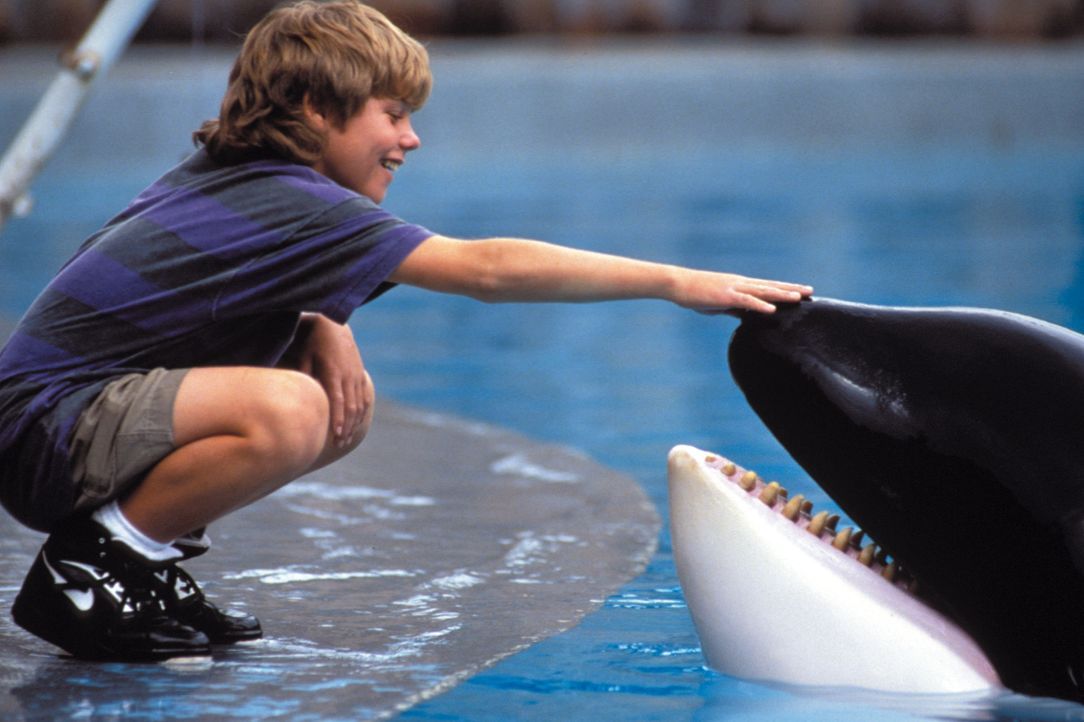 Der 12-jährige Ausreißer Jesse (Jason James Richter) freundet sich in einem Vergnügungspark mit einem Killerwal an ... - Bildquelle: Warner Bros.
