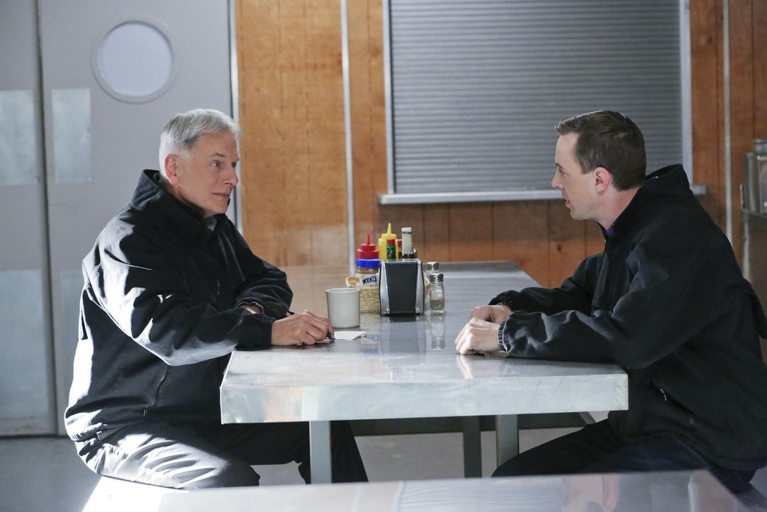 Noch tappen Gibbs (Mark Harmon, l.) und McGee (Sean Murray, r.) im Dunkeln. Doch werden sie den Mörder des aktuellen Falles finden? - Bildquelle: Michael Yarish 2016 CBS Broadcasting, Inc. All Rights Reserved / Michael Yarish