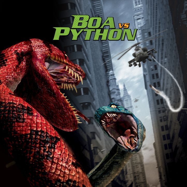 Boa vs. Python - Duell der Killerschlangen - Bildquelle: Sony Pictures Television International. All Rights Reserved.
