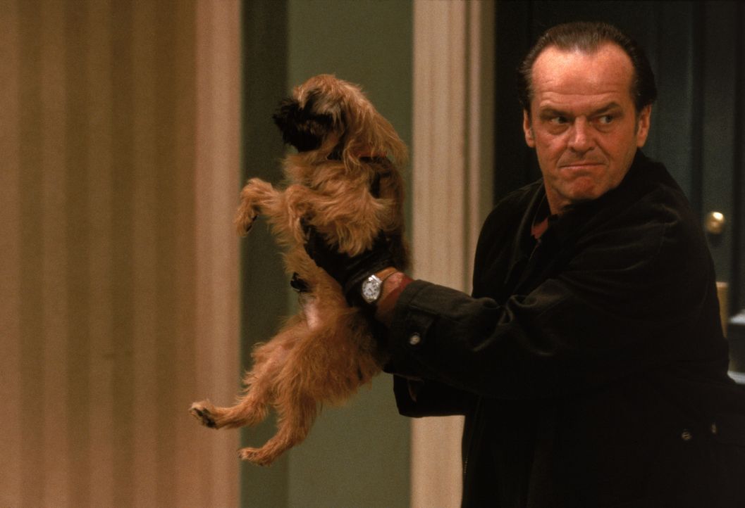 Der kleine Zwergpinscher Verdell erschüttert Melvins (Jack Nicholson) Sauberkeitswahn in seinen Grundfesten. Deshalb landet der Hund erst einmal im... - Bildquelle: Columbia Pictures