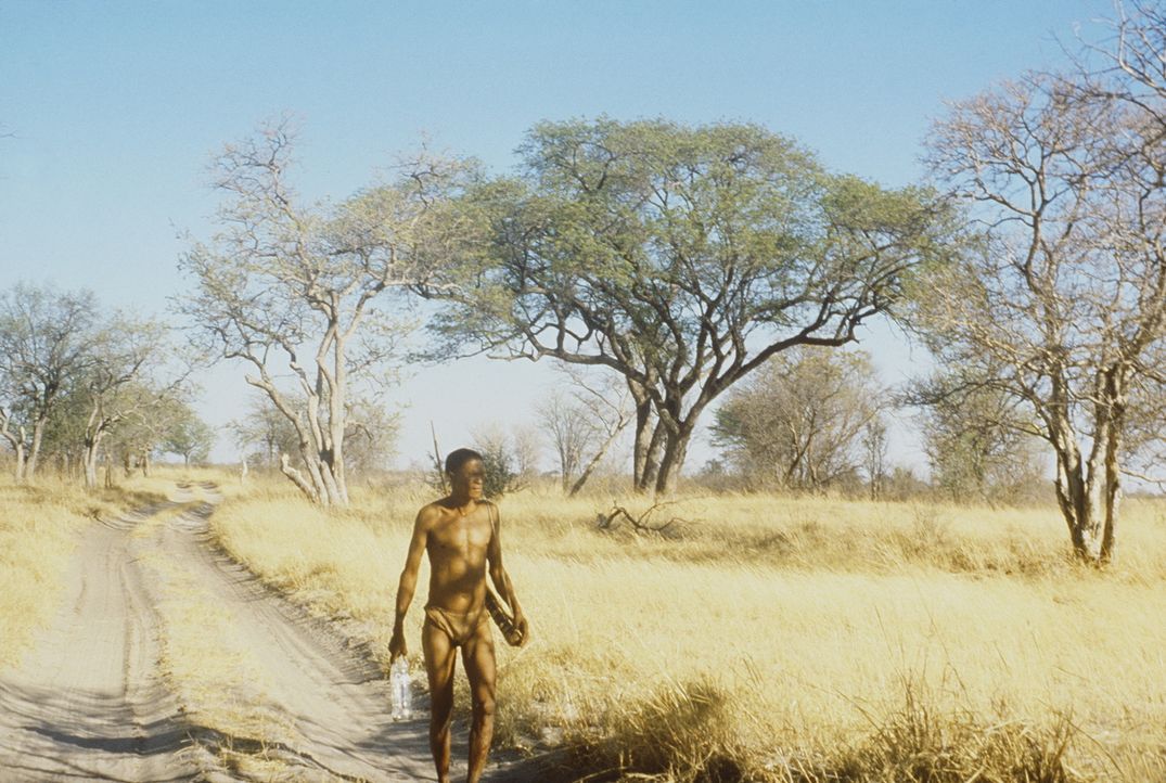 Buschmann Xixo (N!Xau) ist wieder einmal in der Kalahari-Wüste unterwegs. Doch diesmal will er kein Geschenk der Götter loswerden, sondern er ist... - Bildquelle: Columbia Pictures