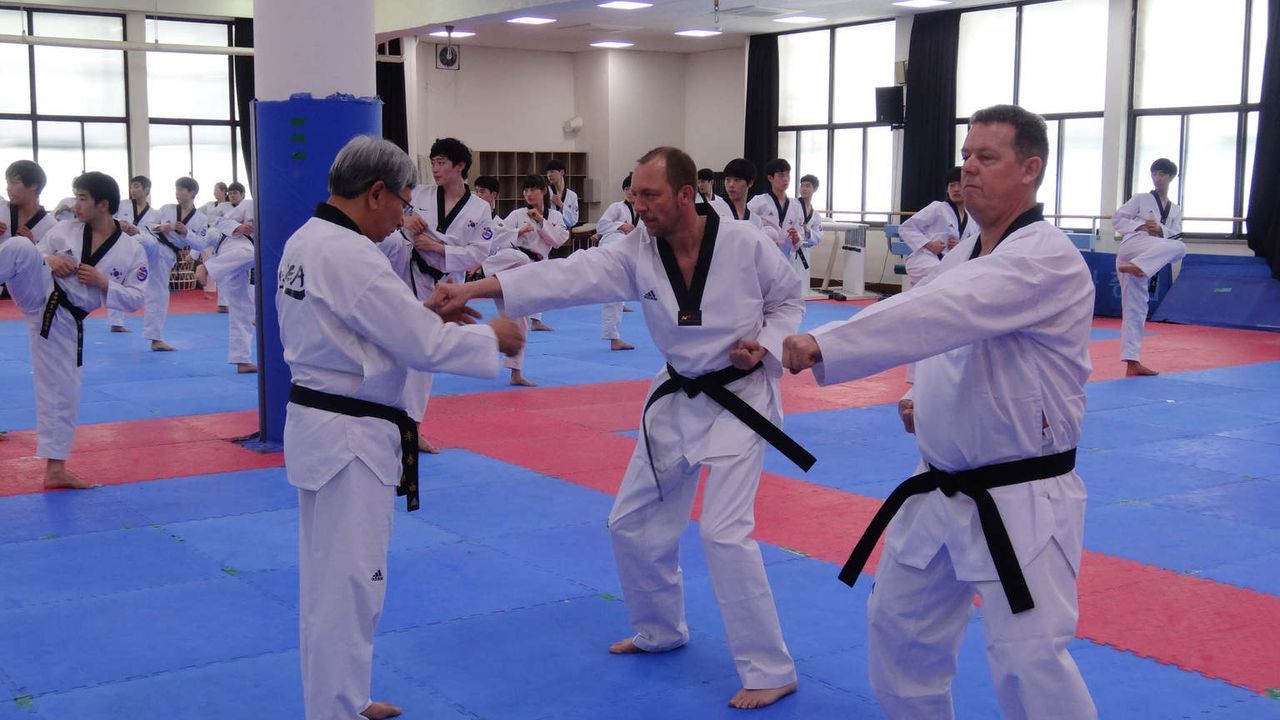 Taekwondo- diese traditionelle Kampfsportart beherrscht in Seoul jeder Polizist- und ist oft die beste Waffe im Nahkampf. Toto (r.) & Harry (M.) mac... - Bildquelle: kabel eins