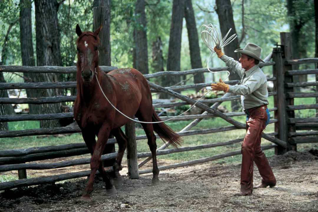 Der Pferdeflüsterer Tom Booker (Robert Redford) versucht, das verstörte Pferd Pilgrim zu heilen - doch wird es ihm gelingen? - Bildquelle: Elliott Marks Touchstone Pictures