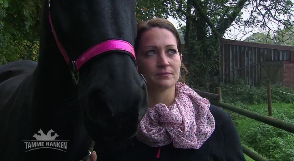 tranenreich die traurige stute aus holland tamme hanken