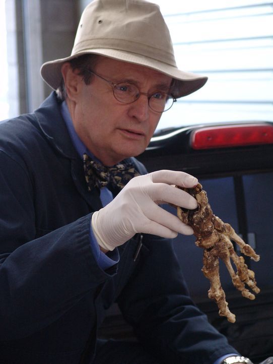 Ducky (David McCallum) untersucht ein Skelett, dass im Truck des Petty Officer Dobbs gefunden wurde ... - Bildquelle: CBS Television