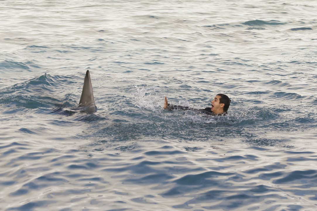 Während Walter (Elyes Gabel) nach einem Bootunglück mitten im Meer auf eine ganze Horde Haie trifft, wird Sylvester mit einigen unangenehmen Fragen... - Bildquelle: Monty Brinton 2016 CBS Broadcasting, Inc. All Rights Reserved. / Monty Brinton