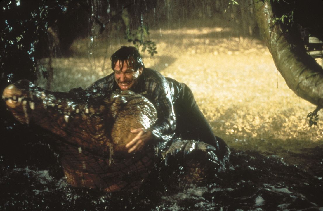 Ein Mann geht durch die grüne Hölle: Alan (Robin Williams) kämpft mit einem Krokodil ... - Bildquelle: COLUMBIA TRISTAR INTERNATIONAL TELEVISION