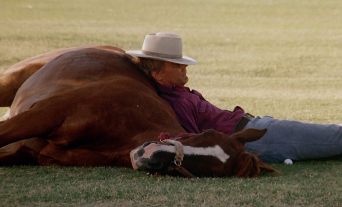 Einzelgänger Luke (Terence Hill) kann eigentlich nur die Gesellschaft seines Pferdes Joe ertragen. Doch eines Tages bittet ihn sein Freund Moose, se... - Bildquelle: PALOMA FILM Srl - CINECITTÁ - 1987