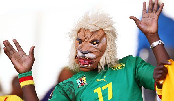 WM Brasilien - Kamerun-Fan Loewe - Bildquelle: dpa