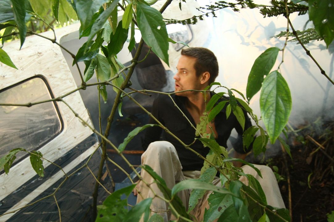 Nach dem Flugzeugabsturz findet sich Jack (Shane West) mitten im tiefsten Dschungel Perus wieder - mit einem Haufen Widersachern an den Fersen ...