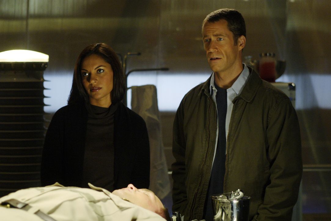 Können nicht glauben, wer der neue Sheriff von Eureka ist: Allison (Salli Richardson, l.) und Jack (Colin Ferguson, r.) ... - Bildquelle: Universal Television