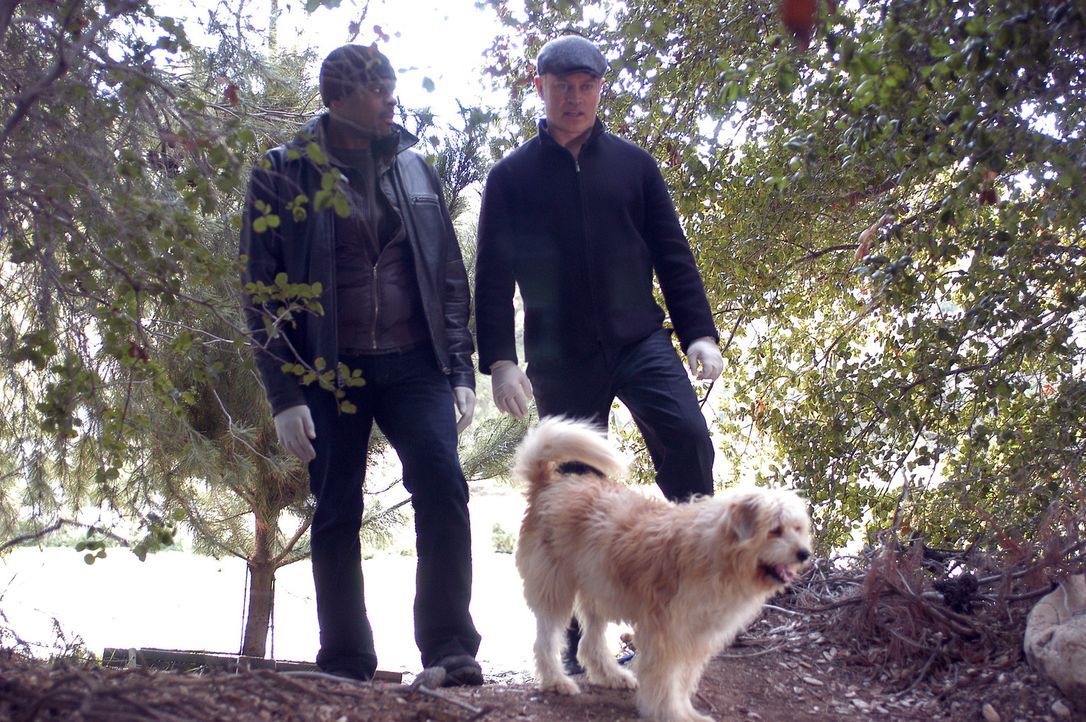 Bei ihren Nachforschungen, werden Connor (Neal McDonough,r.) und Powell (Troy Winbush, l.) von einem Hund an ein verstecktes Grab geführt ... - Bildquelle: CBS Television