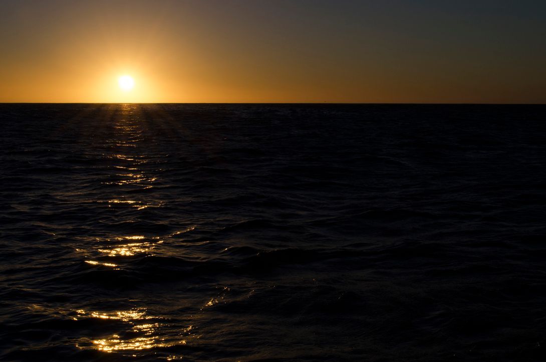 Wenn die Sonne über dem Meer vor der Küste Südafrikas untergeht, kann man sich kaum vorstellen, dass dieses romantische Szenario von den Attacken ei... - Bildquelle: Brian Girard / Kris Olson Discovery Channel