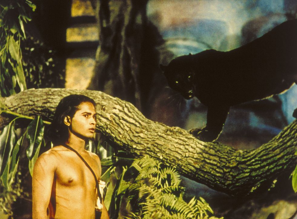 Der treue Panther Baghira warnt Mowgli (Sabu, l.) vor dem hinterlistigen Tiger Schir Khan ... - Bildquelle: United Artists