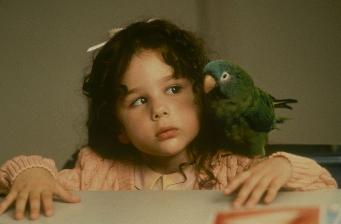 Weil der gescheite Papagei Paulie die kleine Marie (Hallie Kate Eisenberg, l.) einfach plappern lässt, kann sie schon bald ihren Sprachfehler ablege... - Bildquelle: TM &   (1998) DREAMWORKS LLC. ALL RIGHTS RESERVED.