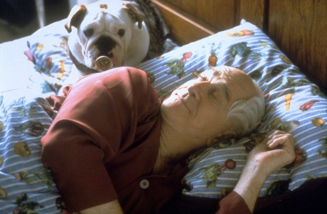 Seine Bulldogge ist sein Ein und Alles: Mr. Magoo (Leslie Nielsen) ... - Bildquelle: Walt Disney Pictures