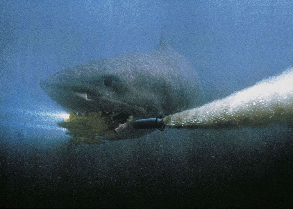 Mittels Torpedo soll dem Monster-Hai der Garaus gemacht werden ... - Bildquelle: Nu Image