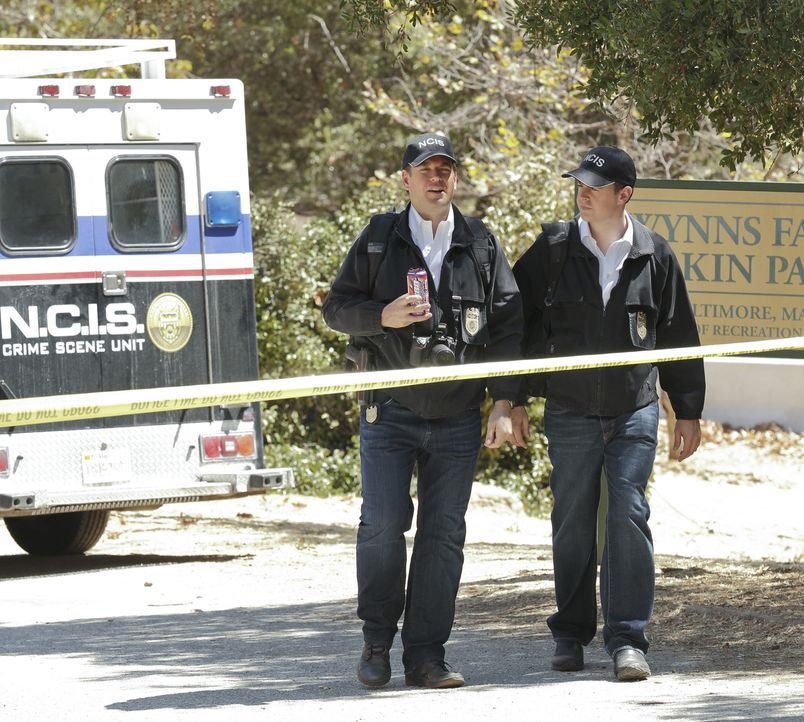 Untersuchen einen neuen Mordfall: Tony (Michael Weatherly, l.) und McGee (Sean Murray, r.) ... - Bildquelle: CBS Television