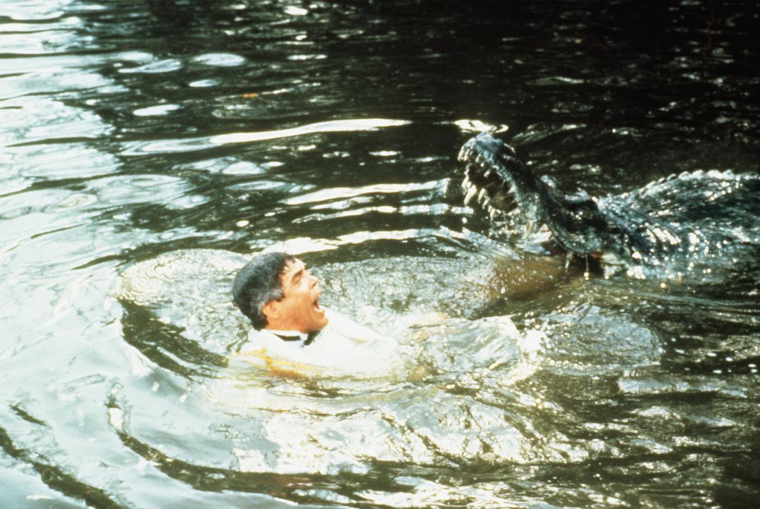 Fischfutter: In den Everglades lernt Capt. Harris (G. W. Bailey) seine Grenzen kennen lernen ... - Bildquelle: Warner Bros.