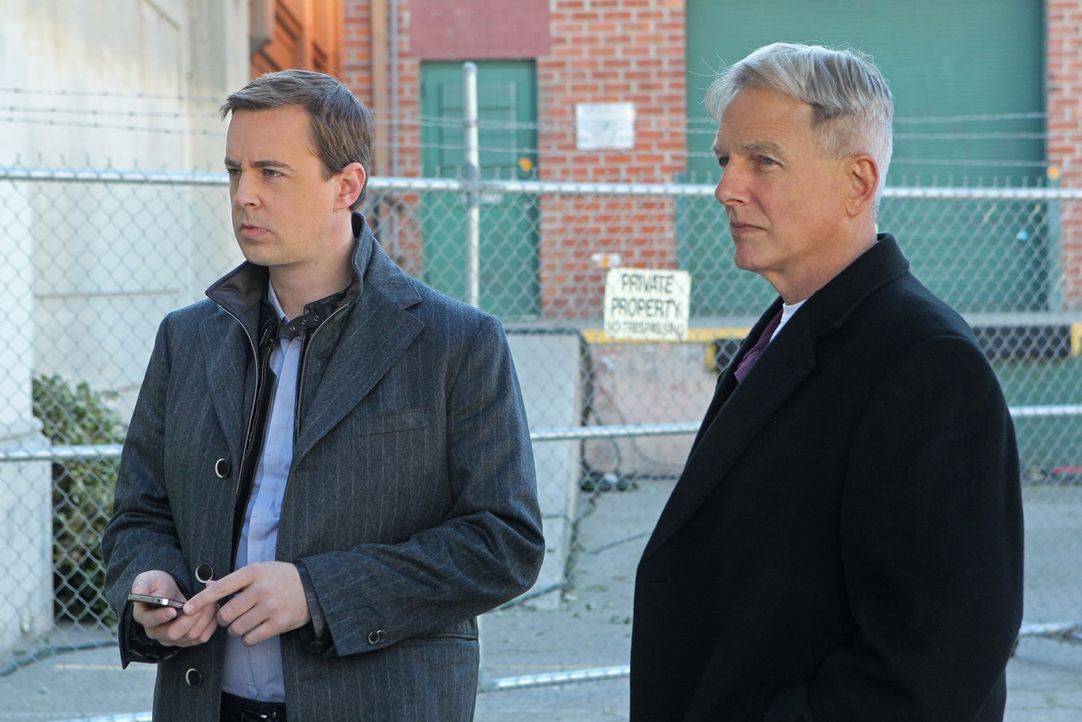 Ein neuer Fall wartet auf Gibbs (Mark Harmon, r.) und McGee (Sean Murray, l.) ... - Bildquelle: CBS Television