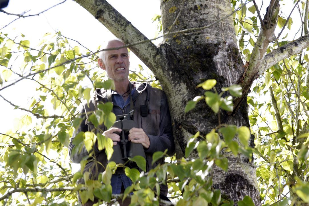 Taggert (Matt Frewer) leidet ebenso wie Spencer, Fargo, Vincent und Jo Lupo an Wahnvorstellungen ... - Bildquelle: Universal Television