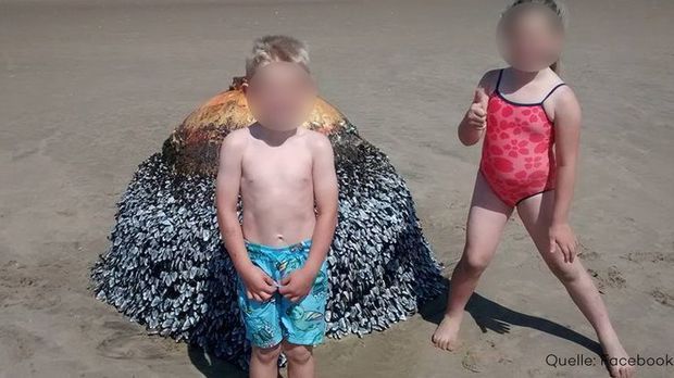 Familie Macht Am Strand Fotos Mit Boje Und Schwebt In Lebensgefahr