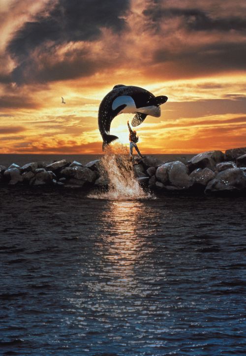Ein zwölfjähriger Ausreißer (Jason James Richter). Ein riesiger Wal. Ein mitreißendes Abenteuer um eine außergewöhnliche Freundschaft. - Bildquelle: Warner Bros.