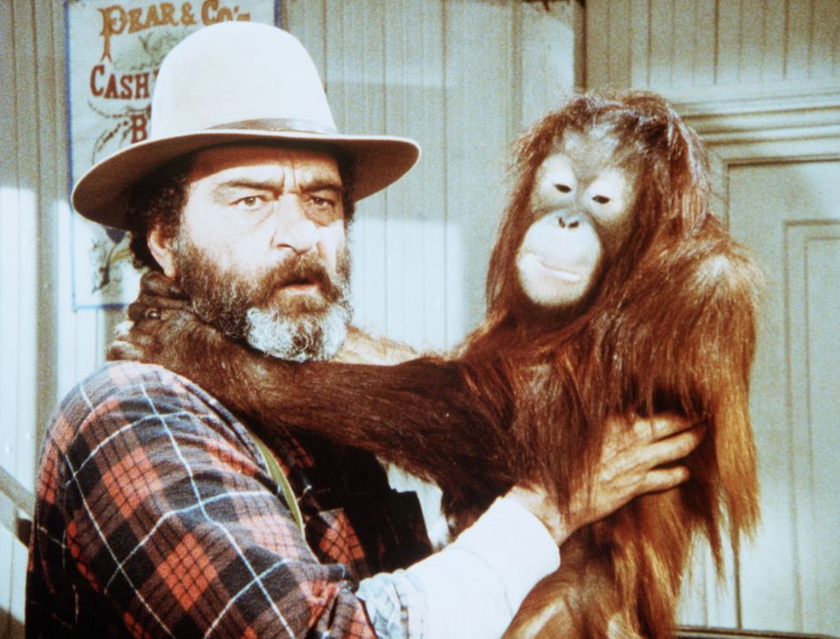 Edwards (Victor French) hat das Orang-Utan-Baby Blanche in Olesons Laden gefunden. - Bildquelle: Worldvision