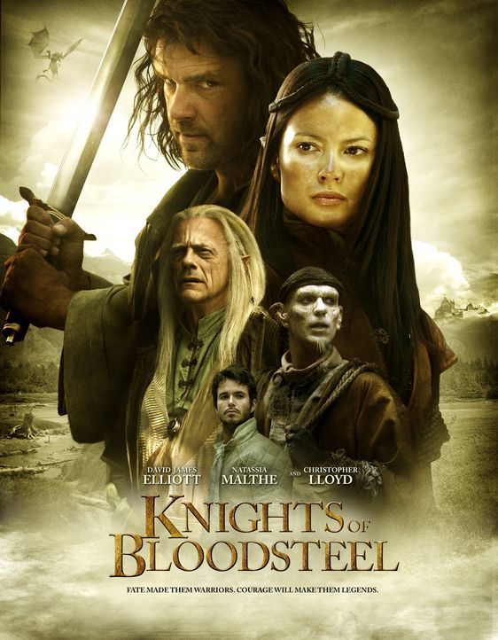 Knights of Bloodsteel - Plakatmotiv - Bildquelle: 2008 Dragonsteel Films Inc.