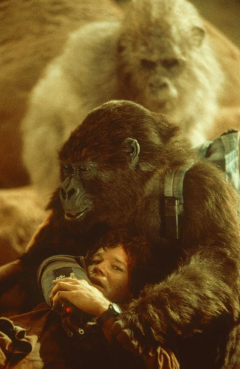 Die zivilisierte Amy versucht, den Primatologen Peter Elliot (Dylan Walsh) vor ihren aggressiven, freilebenden Artgenossen zu schützen ... - Bildquelle: Paramount Pictures