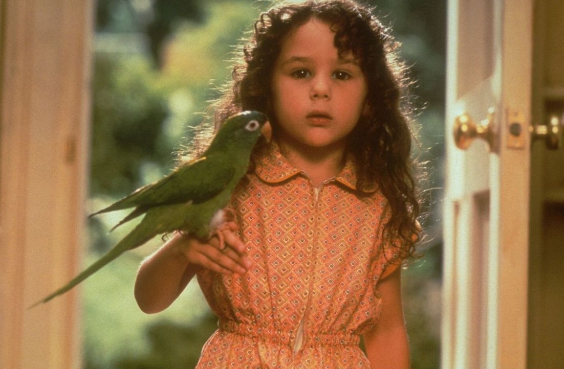 Um ihrem besten Freund, dem Papagei Paulie, möglichst nah zu kommen, startet Marie (Hallie Kate Eisenberg) einen Flugversuch, der natürlich fehlschl... - Bildquelle: DreamWorks